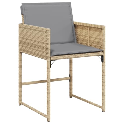 Rantry 5-tlg Garten Essset Beige Poly Rattan mit Kissen, Gartentisch Schwarz 80x80x73 cm Tempered Glass, Gartenlounge Model3380737
